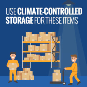 Use Climate-Controlled Storage for These Items [infographic]